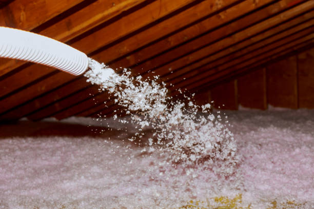 Best Insulation Removal  in Myersville, MD