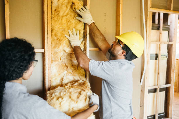 Best Insulation for New Construction  in Myersville, MD